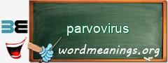 WordMeaning blackboard for parvovirus